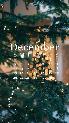 December 2021 Calendar Wallpaper | Calendar wallpaper, Marry christmas  wallpaper, December wallpaper iphone