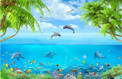 Dolphin Live Wallpaper HD APK для Android — Скачать