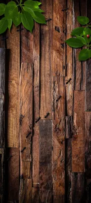 Дерево | Wood iphone wallpaper, Huawei wallpapers, Phone wallpaper images