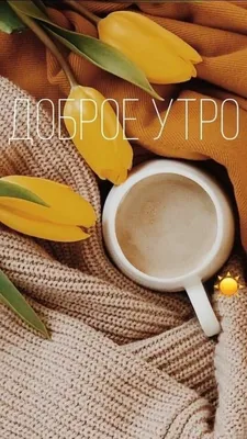 ТМ \"ТМ Доброе утро\" - Добрыня-Дар