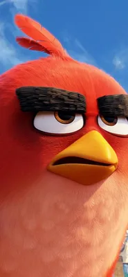 Angry Birds IRL - какие они?