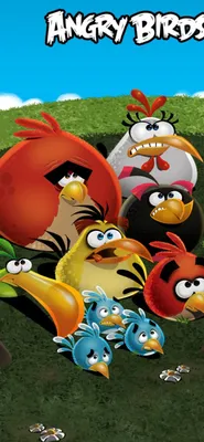 Скачать обои \"Злые Птицы (Angry Birds)\" на телефон в высоком качестве,  вертикальные картинки \"Злые Птицы (Angry Birds)\" бесплатно