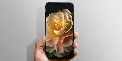 обои на телефон Эстетичные обои Wallpapers on phone в 2021 г | Обои,  Эстетика, Телефон | Серебряные обои, Обои для телефона, Черные обои