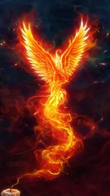 Rise From The Ashes..Be A Phoenix\" - One of my self created quote, which  has always motivated me and has str… | Tatuagem de fênix, Fênix pássaro,  Tatuagem phoenix