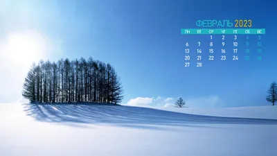 Обои-календарь на февраль 2023 — calendar12.ru