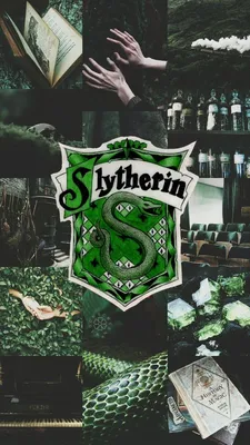 ˊˎ slytherin aesthetics ˎˊ- | Трикки - тесты для девочек | Рисунки на тему гарри  поттер, Тема гарри поттера, Фанаты гарри поттера