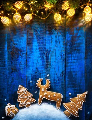 Images Deer Christmas Cookies Fairy lights Wood planks