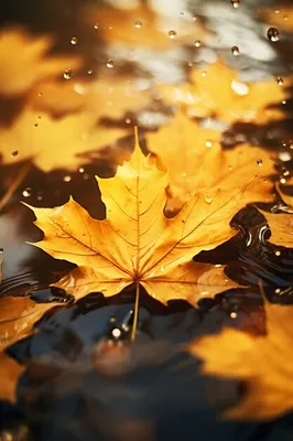 Page 3 | Fall Gold Images - Free Download on Freepik