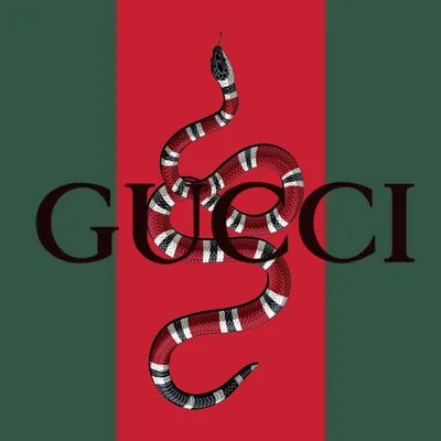 Supreme Gucci Wallpapers - Top Free Supreme Gucci Backgrounds -  WallpaperAccess | Louis vuitton iphone wallpaper, Supreme iphone wallpaper,  Hypebeast wallpaper