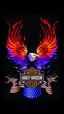 Harley Davidson, harley-davidson, icio, HD phone wallpaper | Peakpx