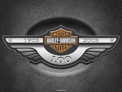 Обои на телефон harley-davidson, мотоцикл, байк, вид сбоку, берег, горизонт  - скачать бесплатно в высоком качестве из категории \"Мотоциклы\"