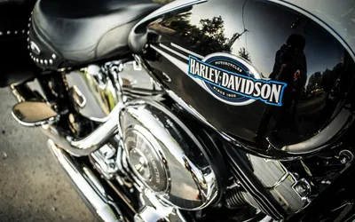 Harley Davidson обои на телефон [37+ изображений]