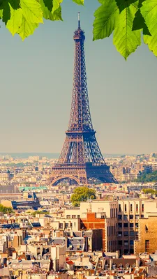 Images Paris Eiffel Tower France Megapolis Cities Building 1080x1920