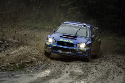 Perfection. Jic magic suspension. The tires are 265-35-18. The wheels are  enkei nt03+m and the color is sbc. | Subaru forester, Subaru forester xt,  Subaru cars