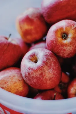 Wallpaper Red Apple and Green Fruits, Background - Download Free Image