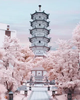 Сакура | Anime scenery wallpaper, Scenery wallpaper, Iphone wallpaper japan