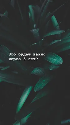 Обои на телефон | Instagram, Instagram photo, Photo and video