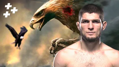 https://tengrisport.kz/around_sports/habib-nurmagomedov-otreagiroval-poslanie-shavkata-rahmonova-523052/