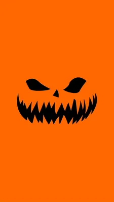 Photo Pumpkin Halloween Holidays Colored background 1080x1920