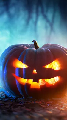 Images Pumpkin Halloween Holidays 1080x1920