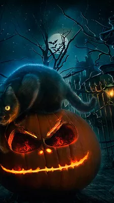 Halloween Kitty - Картинка на телефон / Обои на рабочий стол №1353120