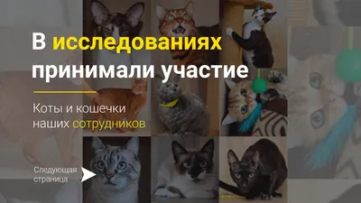 Статуэтка кошечки 13,5см серебряные 699-155