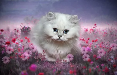 ОБОИ НА ТЕЛЕФОН КОТ CAT | Cute cat wallpaper, Cat phone wallpaper, Cute cats