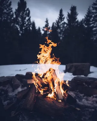 👇 Ничто не делает таким уютным, как костер😊, Алтайский край. Фот | Костёр,  Природа, Обои для iphone