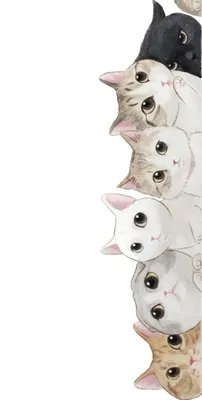 Котики | Cat art, Cute wallpapers, Cute drawings