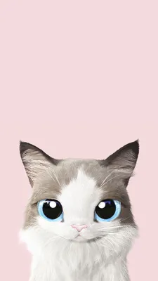 Заставка на телефон кот | Iphone wallpaper hipster, Cat wallpaper, Cat art