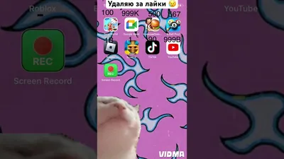 черные обои на телефон приложение｜TikTok Search