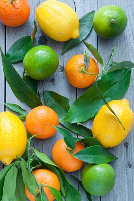 Pictures Foliage Lime Mandarine Lemons Food Citrus Wood planks