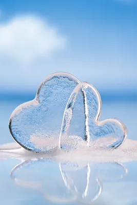 Images Valentine's Day Heart Ice Two 640x960