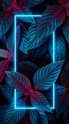 Листья в неоне: квадрат | Neon leafs: square | Iphone wallpaper photos,  Iphone wallpaper, Galaxy wallpaper