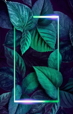 Листья в неоне: Прямоугольник l Neon leafs | Nature iphone wallpaper,  Flower phone wallpaper, Neon wallpaper