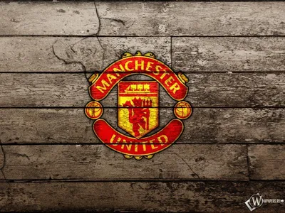 1080x1920 Manchester United f c Wallpapers for Android Mobile Smartphone  [Full HD]