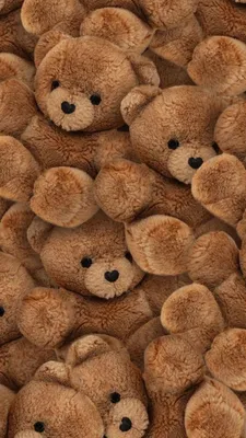 Pin by Грибочек on минус 1уху | Teddy bear wallpaper, Huge teddy bears,  Bear wallpaper