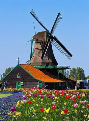 Фотография Англия Мельница Halnaker Windmill Осень Природа 640x960