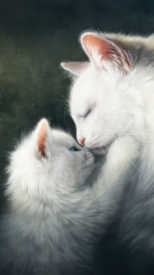 Wallpaper kitty cat Cats Cute Two Love White Animals 1080x1920