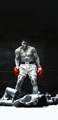 Boxing Wallpapers 18.5:9 | Muhammad ali wallpaper, Boxing posters, Muhammad  ali poster