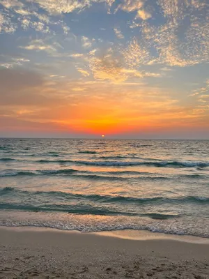 Mobile wallpaper: Clouds, Sand, Landscape, Sea, Palms, Beach, 26423  download the picture for free.