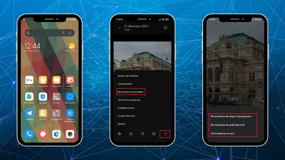 Как сделать и установить живые обои для iPhone и Android (из видео, Live  Photo и гифки)