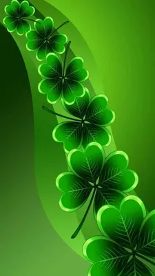 ПОЛЕЗНОЕ | Flower phone wallpaper, Green wallpaper, Beautiful flowers  wallpapers