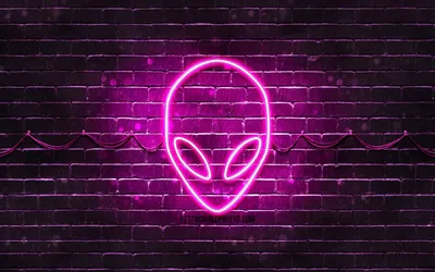 371+ Neon HD Wallpapers - Download all | WidgetClub