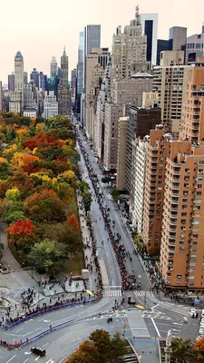 USA, New York, city, skyscrapers, park, trees, autumn 750x1334 iPhone  8/7/6/6S wallpaper, background, picture, image