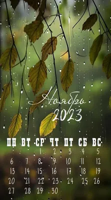 Календарь ноябрь 2023 🍁 in 2023 | November wallpaper, Calendar wallpaper,  Waves wallpaper iphone