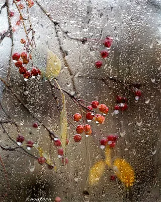 Окно в осень | I love rain, Autumn rain, Rainy day photography