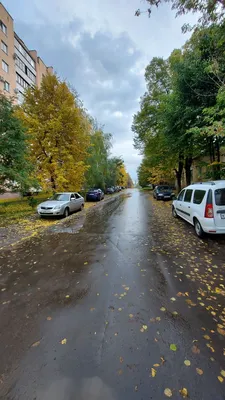 Осень в городе река и мост - обои на телефон