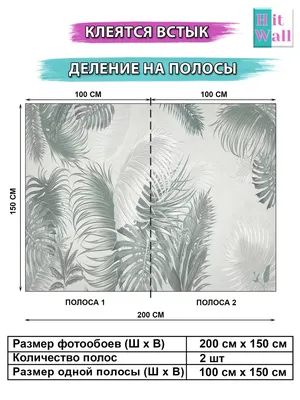 Фотообои Пальмовые листья купить в Москве, Арт. 16-116 в интернет-магазине,  цены в Мастерфресок