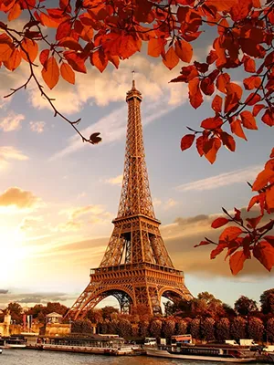 Picture Paris Eiffel Tower France Foliage Autumn Cities 600x800